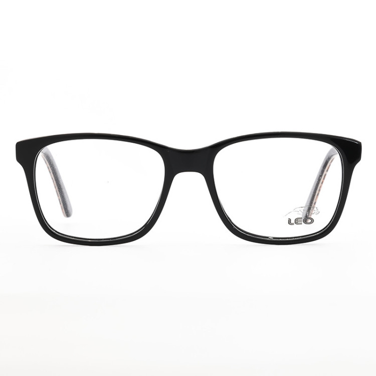 Leo F172 C509  - 2