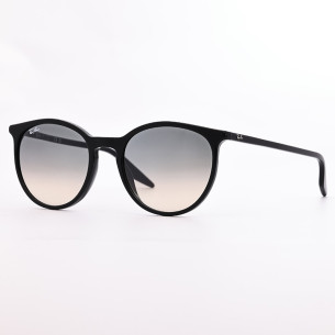 Ray-Ban RB 2204 901/32  - 1