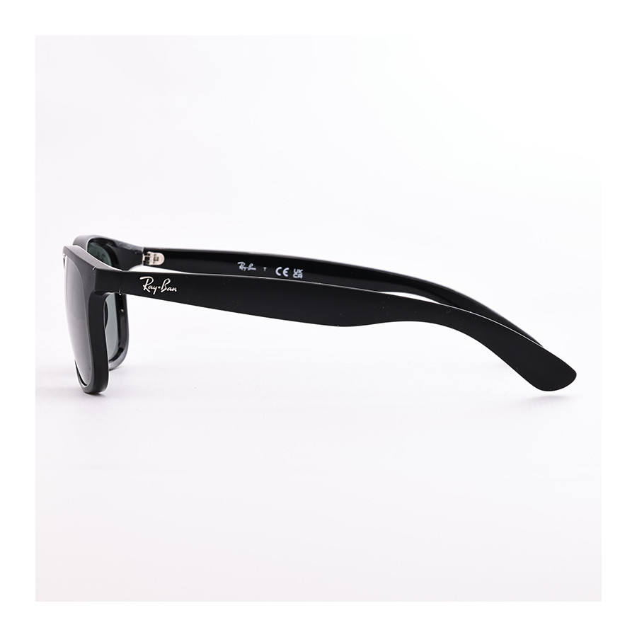 Ray-Ban RB 4202 Andy 6069/71  - 3