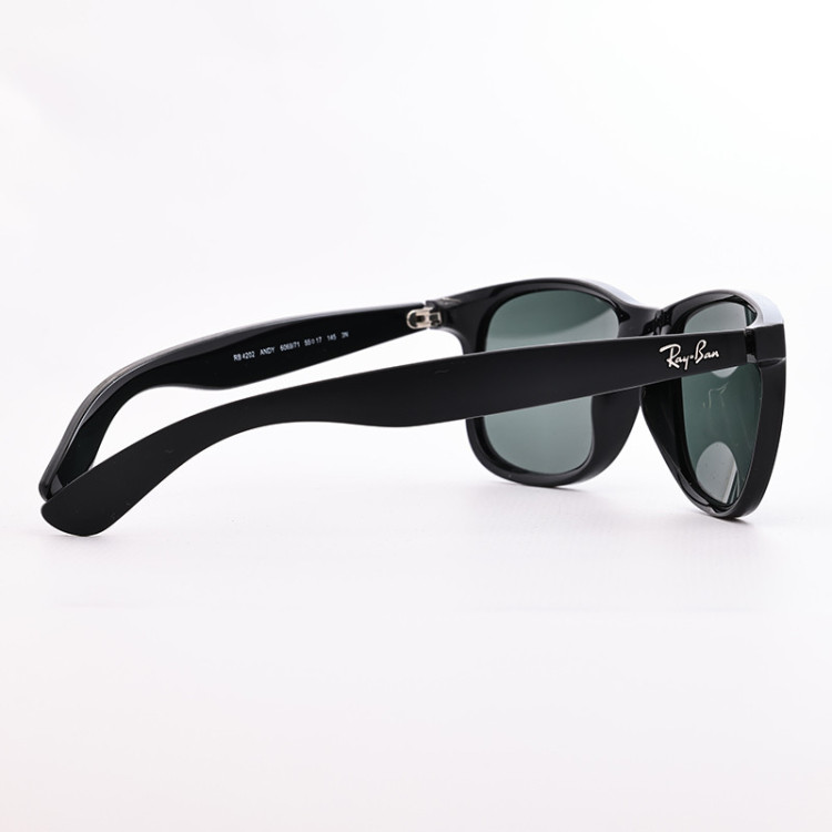 Ray-Ban RB 4202 Andy 6069/71  - 4