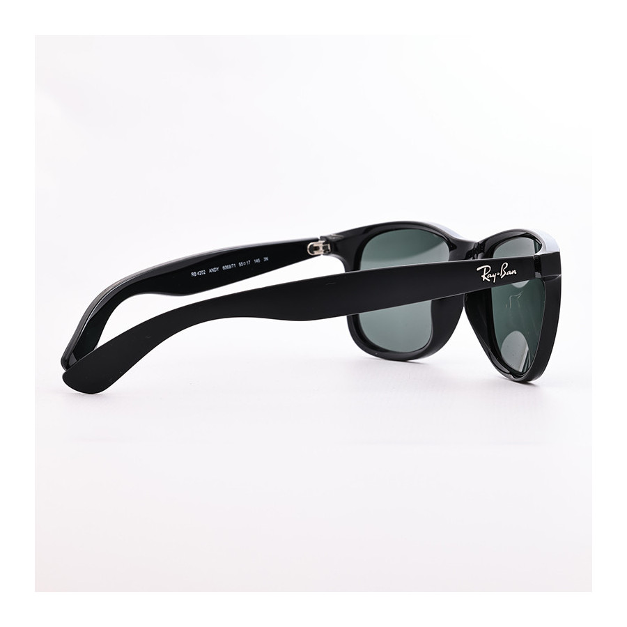 Ray-Ban RB 4202 Andy 6069/71  - 4