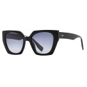 SunPlanet SPS250610  - 1