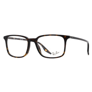 Ray-Ban RB 5421 2012  - 1