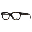 Ray Ban RB 7217 Chad 8320  - 1