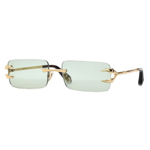 Roberto Cavalli SRC023 Col. 400C  - 1