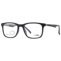 rh+ Vision Evo RHA21C01