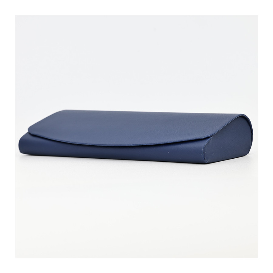 Case ST 238 blue