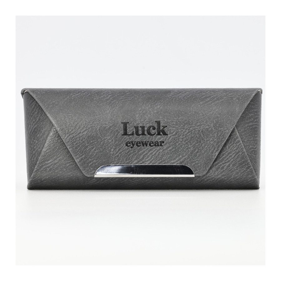 Case Luck ST224 grey