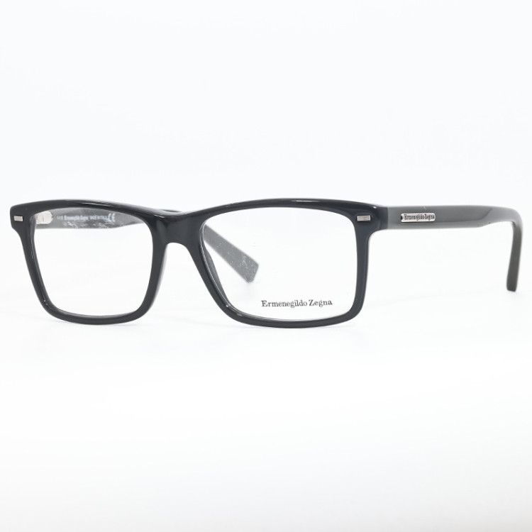Ermenegildo Zegna EZ 5002 020