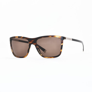 Dolce & Gabbana DG 4210 2673/73
