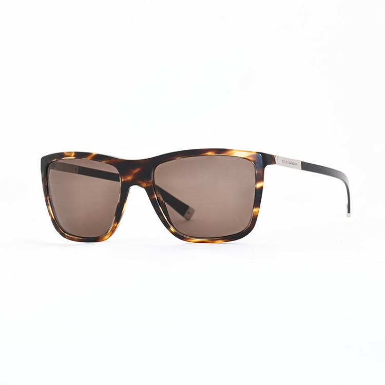 Dolce & Gabbana DG 4210 2673/73