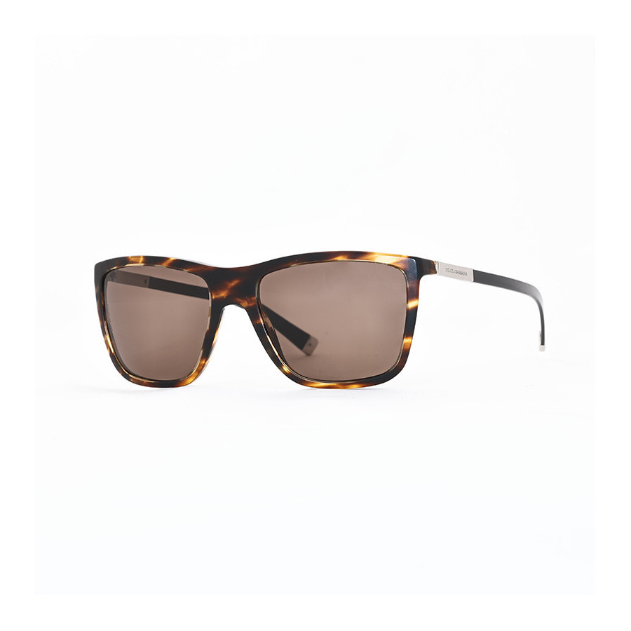 Dolce & Gabbana DG 4210 2673/73