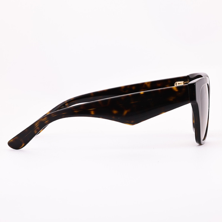 Dolce & Gabbana DG 4437 502/13